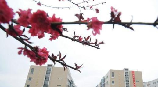 江西工业贸易职业技术学院