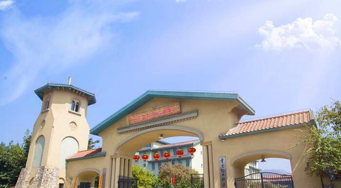 重庆轻工职业学院2020年招生代码