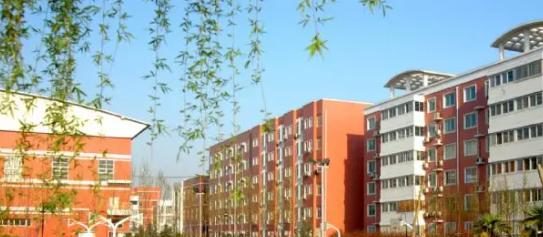 天津外国语大学附属外国语学校怎么样