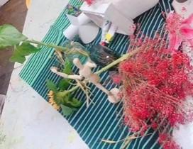 天津斑马美术教育