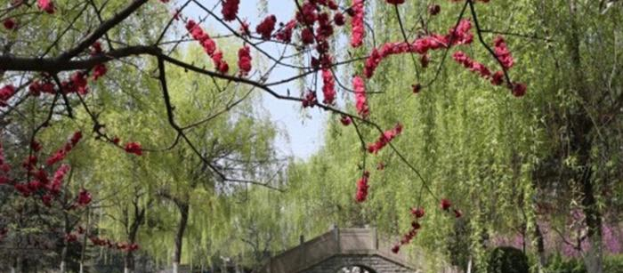 濉溪职业技术学校