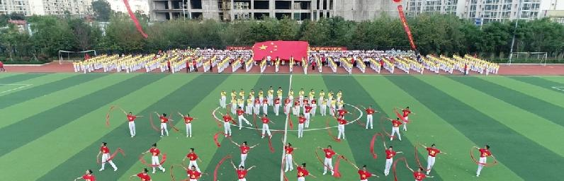 截图_20191014154701