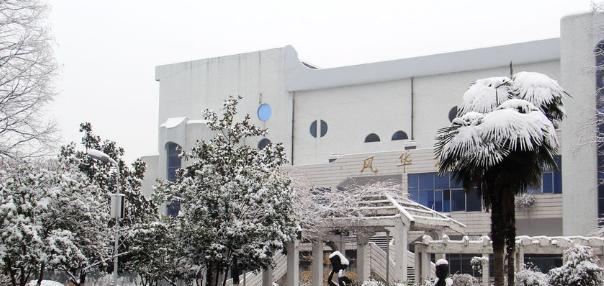 江汉艺术职业学院五年制2020年有哪些专业