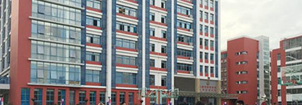 澳大利亚艾文豪精英学校(上海校区)小学部地址在哪里