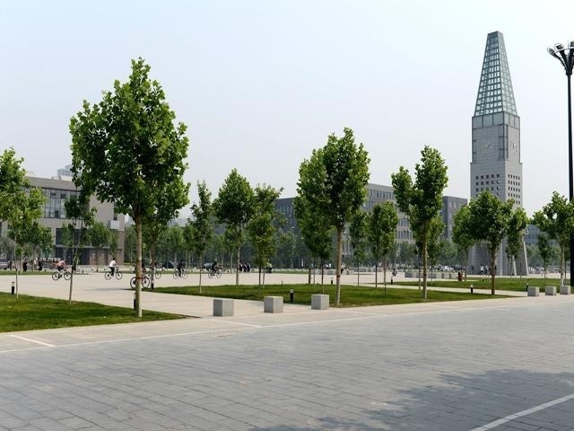 校园景色