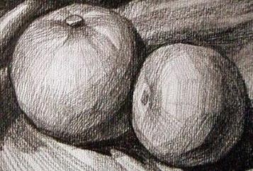 简单静物组合明暗素描临摹