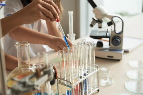 特色科学探究课程