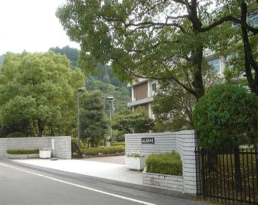 岐阜药科大学