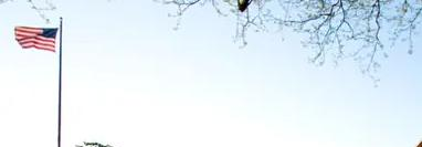 美国巴斯图高中2023年录取分数线