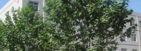 石家庄科达中等专业学校地址在哪里，哪个地区，哪个城市?