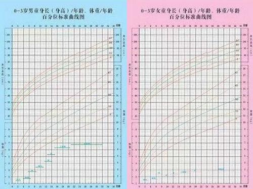 培育天赋，而不是创造天赋