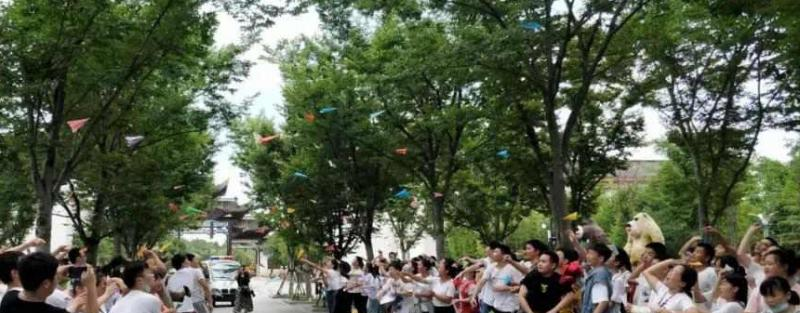 南昌现代外国语学校小学部2020年招生办
