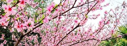 江阳城建职业学院