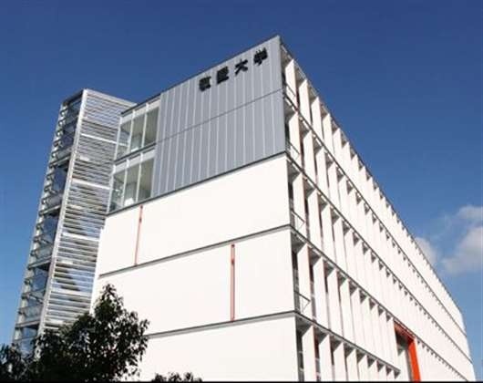 敬爱大学