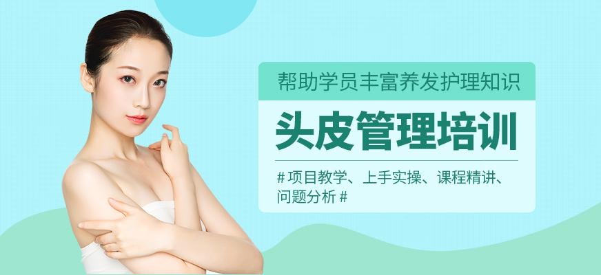 尚艺美容美发培训学校头皮管理培训班