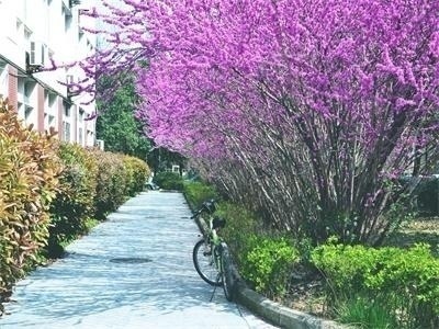 校园环境