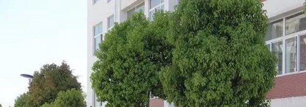 昆明农业学校