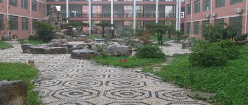 山东医药技师学院3