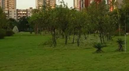 重庆电讯职业学院是不是全日制大专院校?