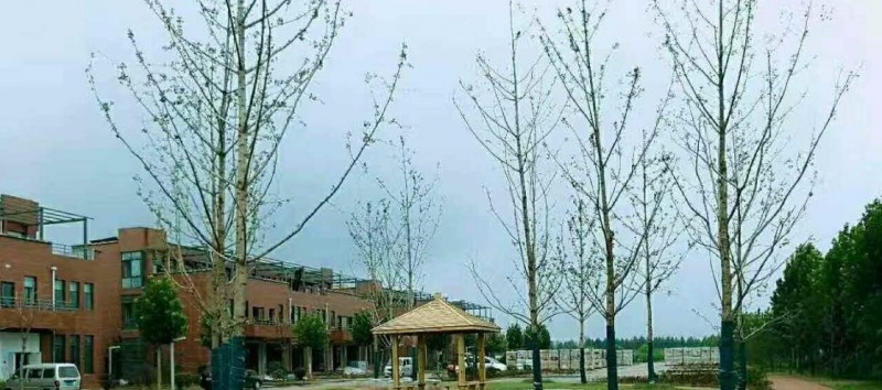 兰考县职业中专