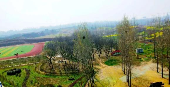 河南泌阳中等职业技术学校2021年招生办