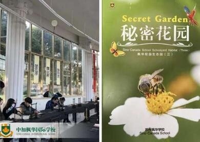 中加枫华国际学校小学初中全新新课程体系攻略