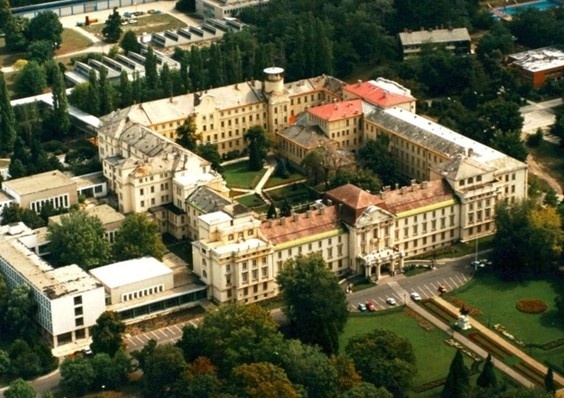 圣伊斯特万大学