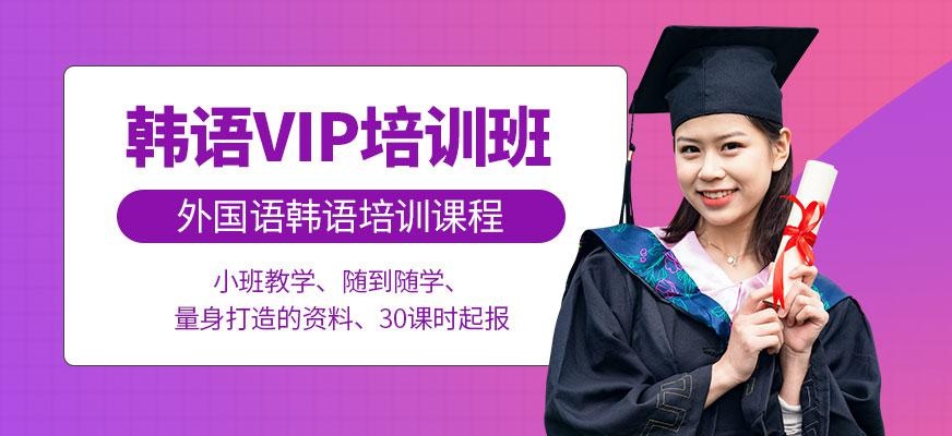 韩语VIP班