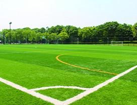 尤文图斯南京足球学院
