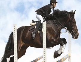 北京小贵族夏令营 