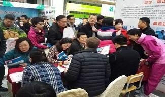 青岛启明星中学VCE课程