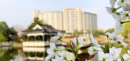 民办合肥财经职业学院怎么样、好不好