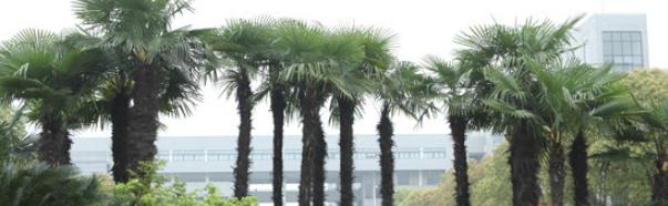 杭州第四中学国际部2020年招生办