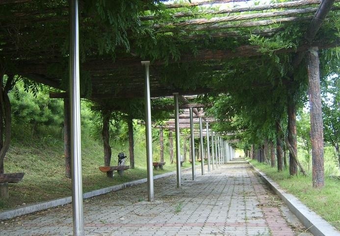 世明大学