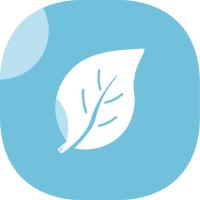 多样教学