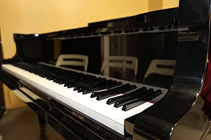 上海美达菲学校钢琴教室