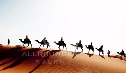 沙漠小小探索家