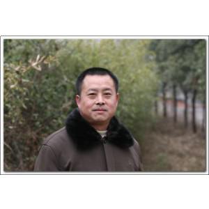 苏州胜之诺教育培训机构-陈老师