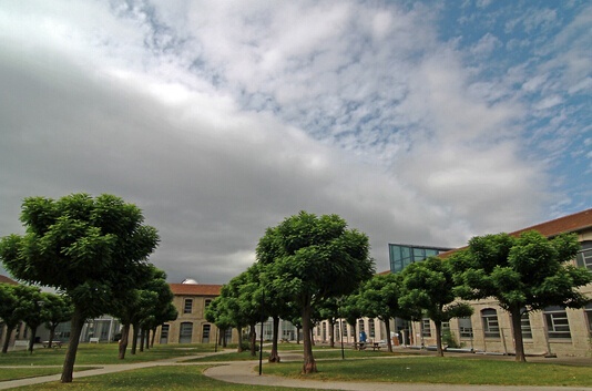 圣太田大学圣太田电信学校
