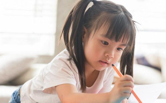 综合艺术课内容