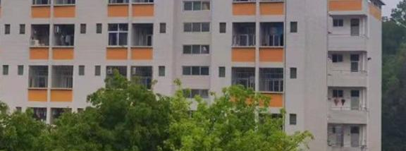 揭西职业技术学校