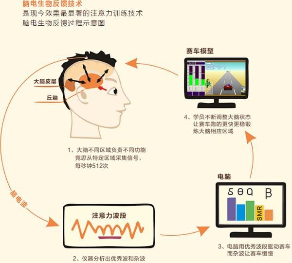 竞思脑电生物反馈原理