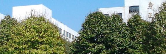 成都金沙职业技术学校