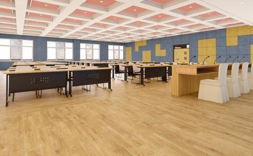 中育贝拉国际高中