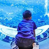 发现学习方法与思维方式的多元性