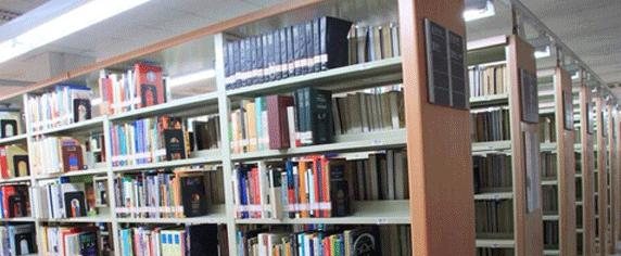 上海外国语大学立泰学院国际高中部怎么样