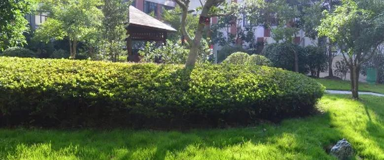 文山文武职业学校2022年招生办