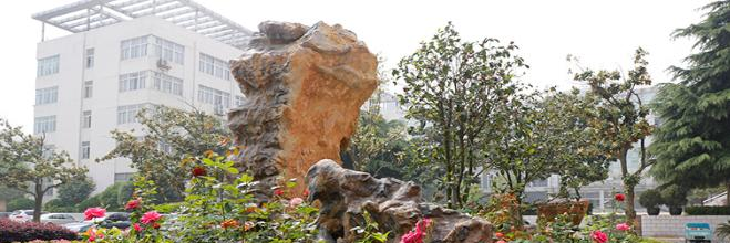 淮南职业技术学院单招报名条件