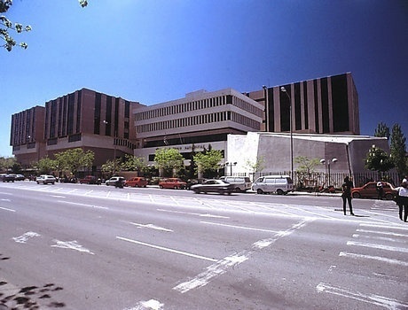 马其顿大学