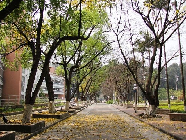 校道